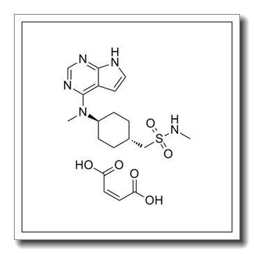 Oclacitinib马来酸盐