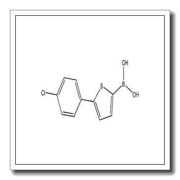 (5-(4-chlorophenyl)thiophen-2-yl)boronic acid CAS 1210470-48-6