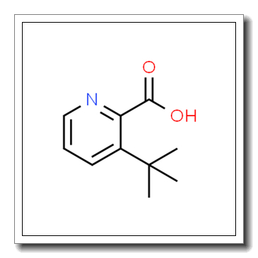 3-(tert-Butyl)picolinic acid