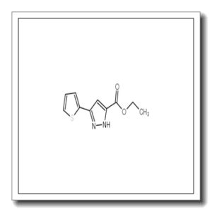 3-(噻吩-2-基)-1H-吡唑-5-羧酸乙酯