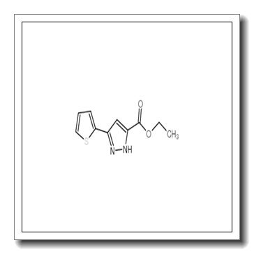 3-(噻吩-2-基)-1H-吡唑-5-羧酸乙酯