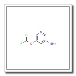 5-(Difluoromethoxy)pyridin-3-amine