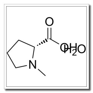 N-甲基-D-脯氨酸一水合物