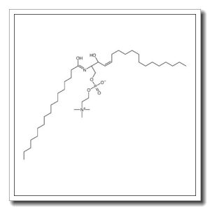 [(E,2S,3R)-2-(heptadecanoylamino)-3-hydroxyoctadec-4-enyl] 2-(trimethylazaniumyl)ethyl phosphate