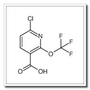 6-chloro-2-(trifluoromethoxy)nicotinic acid