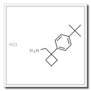 1-[4-(叔丁基)苯基]环丁烷甲胺盐酸盐