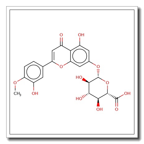 3,4-Dihydro-5-hydroxy-2-(3-hydroxy-4-methoxyphenyl)-4-oxo-2H-1-benzopyran-7-yl β-D-glucopyranosiduronic acid CAS 1237479-09-2