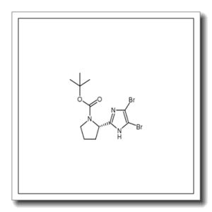 (S)-tert-butyl 2-(4,5-dibromo-1H-imidazol-2-yl)pyrrolidine-1-carboxylate
