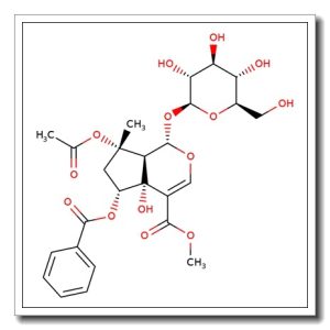 6-O-Benzoylphlorigidoside B