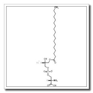 Sodium O-{[(2R)-2-hydroxy-3-(stearoyloxy)propoxy]phosphinato}-L-serine