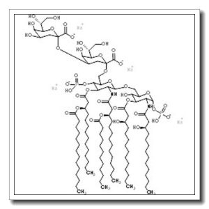 Tetrasodium 3-deoxy-6-[(1R)-1,2-dihydroxyethyl]hex-2-ulopyranonosyl-(2->4)-3-deoxy-6-[(1R)-1,2-dihydroxyethyl]hex-2-ulopyranonosyl-(2->6)-2-deoxy-2-{[(3R)-3-(dodecanoyloxy)tetradecanoyl]amino}-4-O-(hydroxyphosphinato)-3-O-[(3R)-3-(tetradecanoyloxy)tetradecanoyl]hexopyranosyl-(1->6)-2-deoxy-1-O-(hydroxyphosphinato)-3-O-[(3R)-3-hydroxytetradecanoyl]-2-{[(3R)-3-hydroxytetradecanoyl]amino}hexopyranose