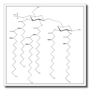 Lipid A monophosphoryl