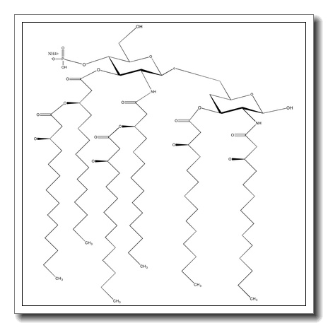 Lipid A monophosphoryl