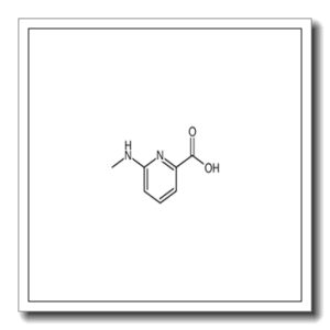 6-(二甲基氨基)吡啶-2-羧酸