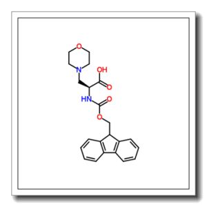 N-[(9H-Fluoren-9-ylmethoxy)carbonyl]-3-(4-morpholinyl)-L-alanine