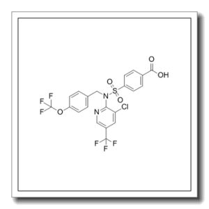 RQ-00203078