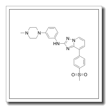 N-[3-(4-methylpiperazin-1-yl)phenyl]-8-(4-methylsulfonylphenyl)-[1,2,4]triazolo[1,5-a]pyridin-2-amine CAS 1257704-57-6