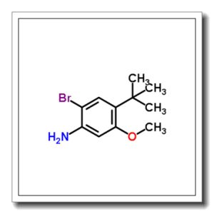2-Bromo-5-methoxy-4-(2-methyl-2-propanyl)aniline