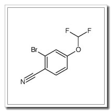 2-Bromo-4-(difluoromethoxy)benzonitrile CAS 1261818-72-7 