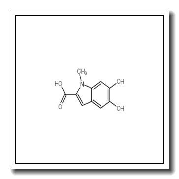 5,6-dihydroxy-1-methylindole-2-carboxylic acid