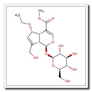 6-Ethoxygeniposide