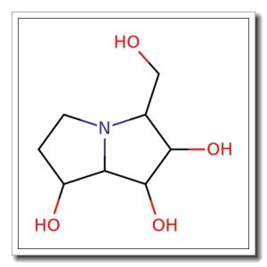 7,7a-Diepialexine