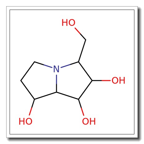 7,7a-Diepialexine