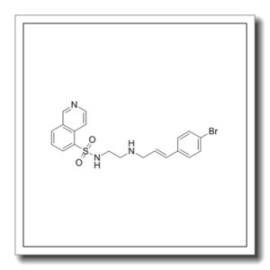 N-[2-[P-溴苯丙烯盐基氨基]乙基]-5-异喹啉磺酰胺