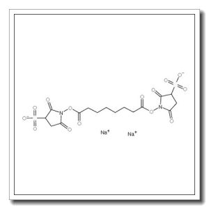 Suberate Bis(sulfosuccinimidyl) Sodium Salt