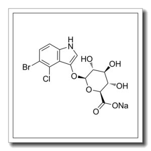 5-溴-4-氯-3-吲哚基-beta-D-葡糖苷酸钠