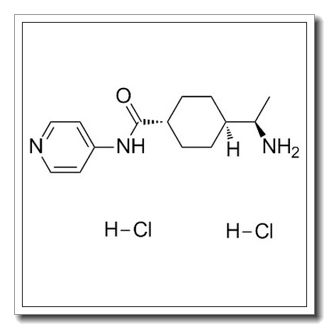 反式-4-[(R)-1-氨基乙基]-N-(4-吡啶基)环己烷甲酰胺二盐酸盐
