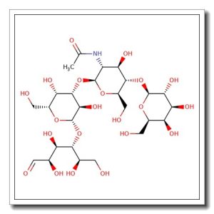 Lacto-N-neotetraose