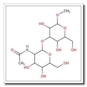 Methyl 3-O-(2-acetamido-2-deoxy-b-D-galactopyranosyl)-b-D-galactopyranoside