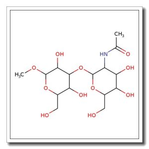 Methyl 3-O-(2-acetamido-2-deoxy-a-D-galactopyranosyl)-a-D-galactopyranoside