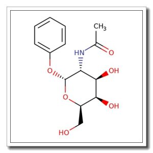 Phenyl 2-acetamido-2-deoxy-a-D-galactopyranoside