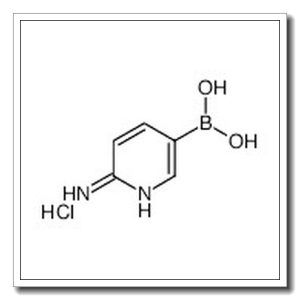 (6-aminopyridin-3-yl)boronic acid,hydrochloride