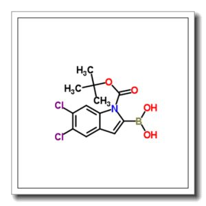 1-Boc-5,6-二氯-1H-吲哚-2-硼酸