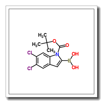 1-Boc-5,6-二氯-1H-吲哚-2-硼酸