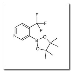 3-(4,4,5,5-tetramethyl-1,3,2-dioxaborolan-2-yl)-4-(trifluoromethyl)pyridine