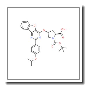 (4R)-4-{[2-(4-Isopropoxyphenyl)[1]benzofuro[3,2-d]pyrimidin-4-yl]oxy}-1-{[(2-methyl-2-propanyl)oxy]carbonyl}-L-proline