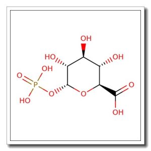 a-D-Glucuronic acid-1-phosphate