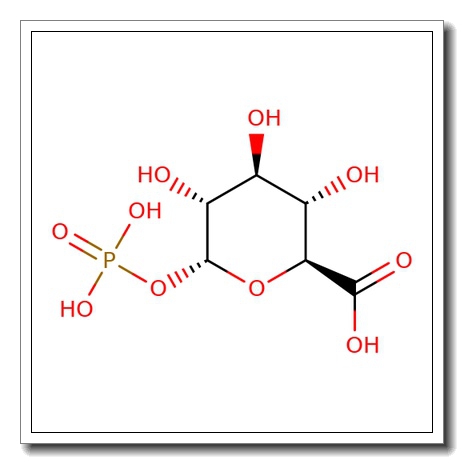 a-D-Glucuronic acid-1-phosphate