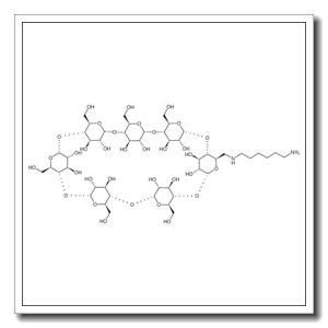6-[(2-aminohexyl)amino]-6-deoxy-β-CD