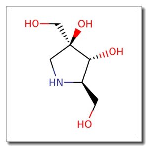 (2R, 3R, 4S) -3, 4- Dihydroxy- 2, 4- pyrrolidinedimethano l