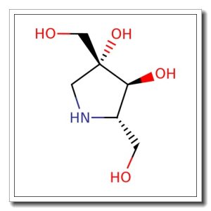 (2S,3S,4R)-2,4-bis(hydroxymethyl)pyrrolidine-3,4-diol