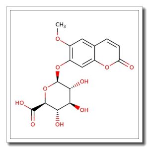 Scopoletin b-D-glucuronide