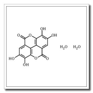 鞣花酸二水合物