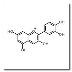 黑米提取物