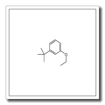 1-叔丁基-3-乙氧基苯