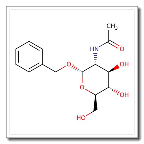 Benzyl 2-acetamido-2-deoxy-α-D-glucopyranoside CAS 13343-62-9